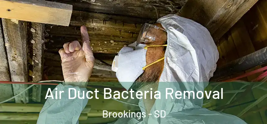  Air Duct Bacteria Removal Brookings - SD