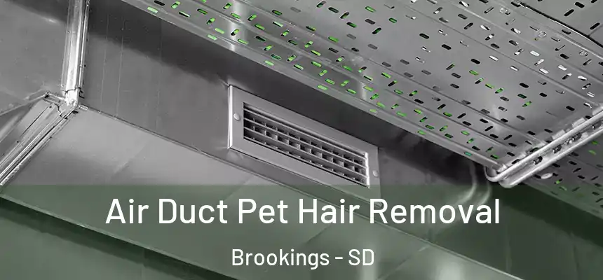  Air Duct Pet Hair Removal Brookings - SD
