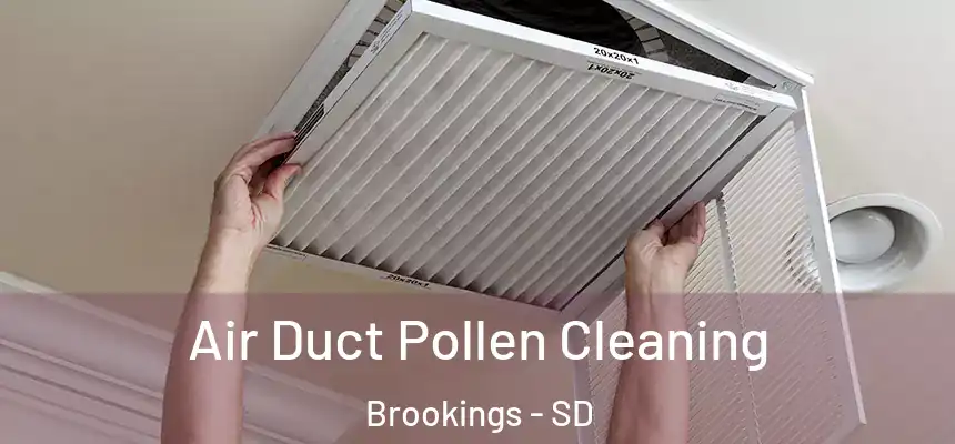 Air Duct Pollen Cleaning Brookings - SD