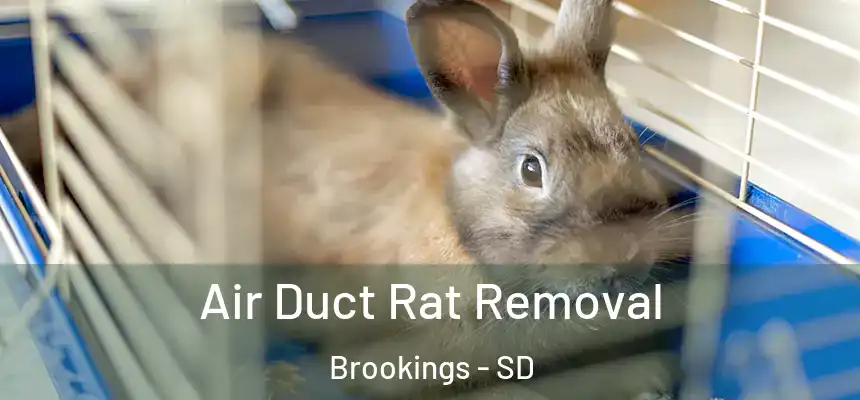  Air Duct Rat Removal Brookings - SD