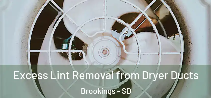  Excess Lint Removal from Dryer Ducts Brookings - SD
