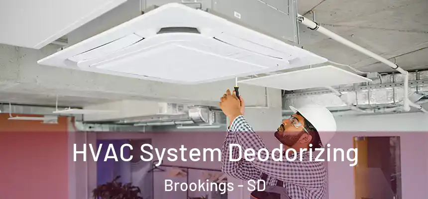 HVAC System Deodorizing Brookings - SD