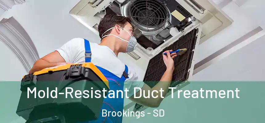  Mold-Resistant Duct Treatment Brookings - SD