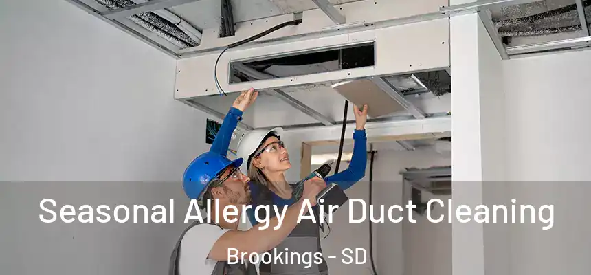  Seasonal Allergy Air Duct Cleaning Brookings - SD