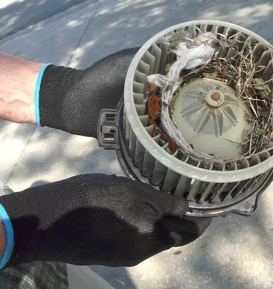 About Air Duct Rat Removal in Brookings, SD