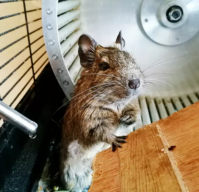 Why Homeowners & Businesses Trust Us Brookings, SD